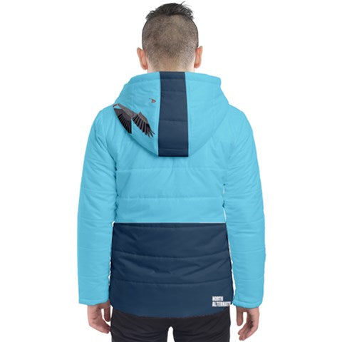North Alternate puff winter coat
