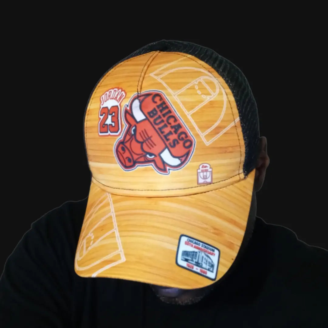 Chicago Stadium X Jordan Cap